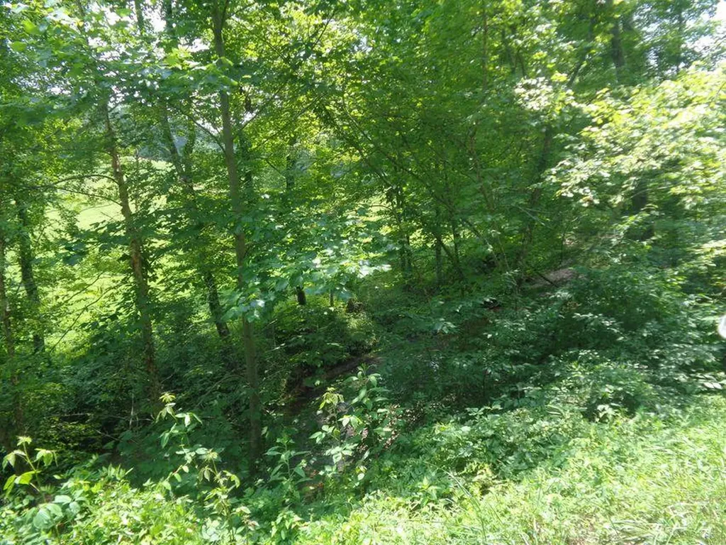 Lot 36 Cliffs Edge Road East Bernstadt KY 40729