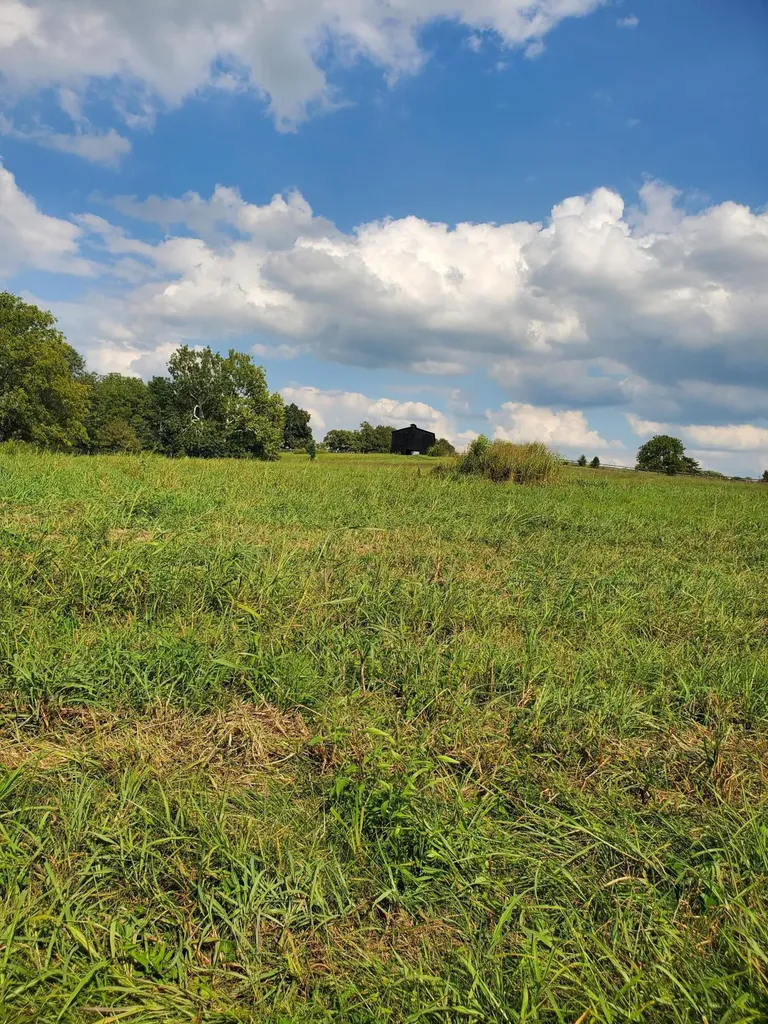 110 Pemberley Cove Lane Georgetown KY 40324