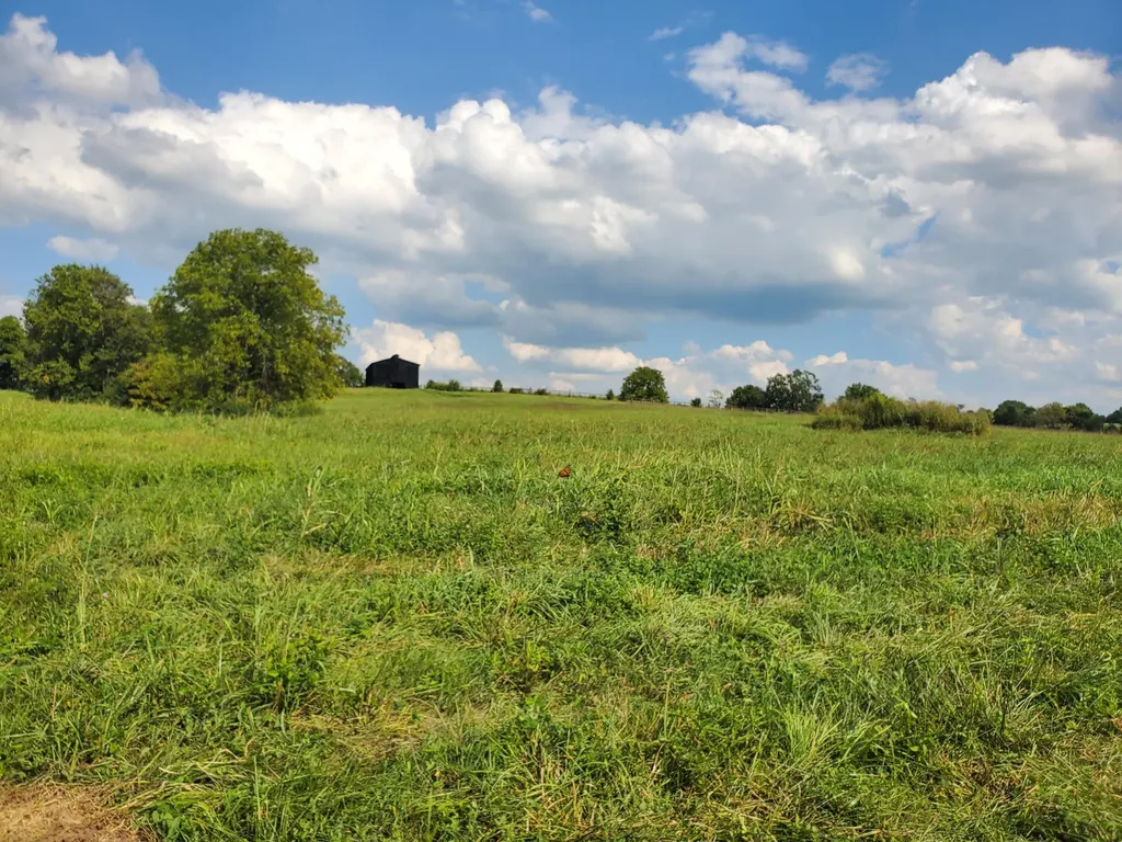 110 Pemberley Cove Lane Georgetown KY 40324