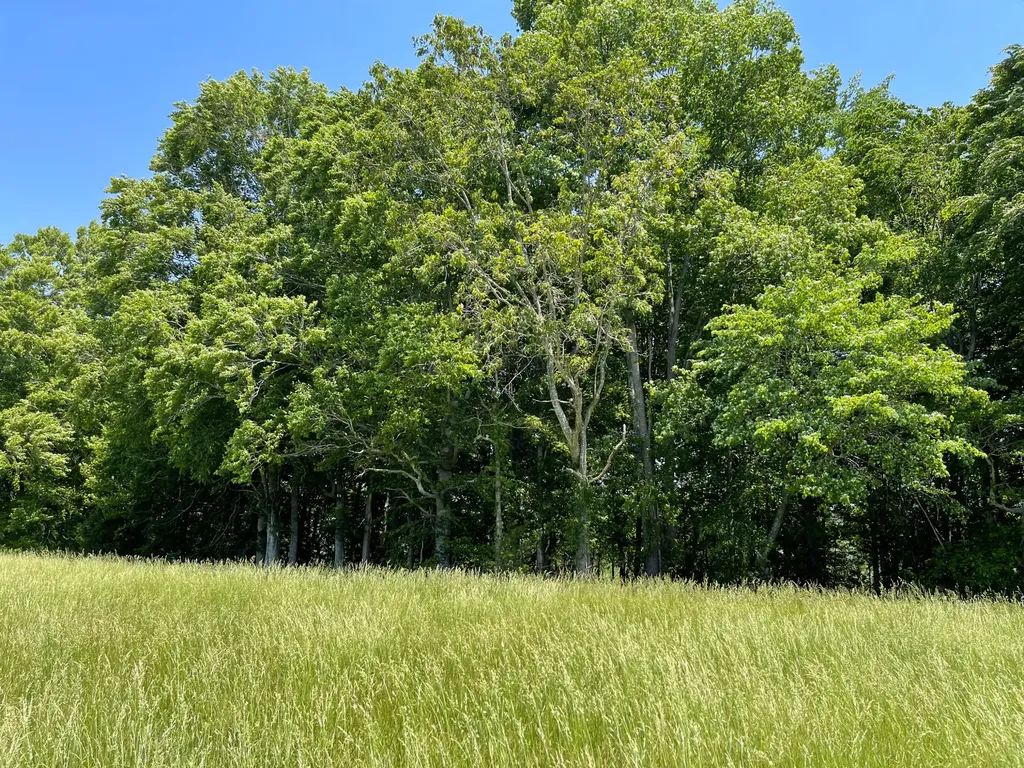 77 Meadows Loop Russell Springs KY 42642