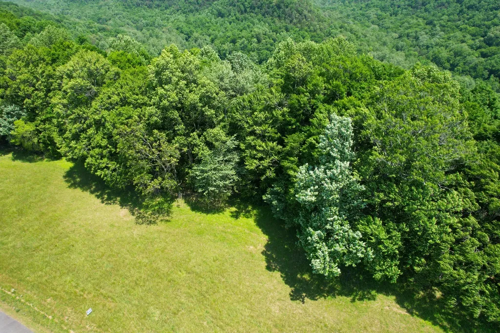 77 Meadows Loop Russell Springs KY 42642