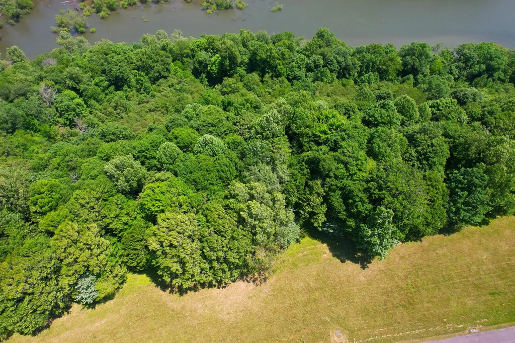 77 Meadows Loop Russell Springs KY 42642