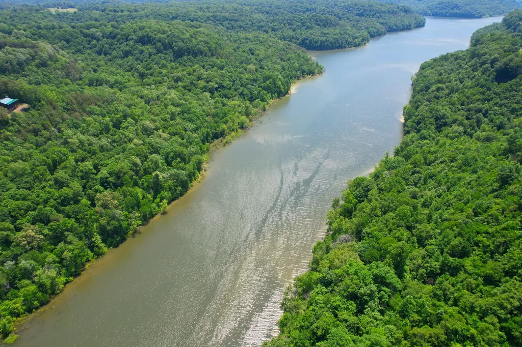77 Meadows Loop Russell Springs KY 42642