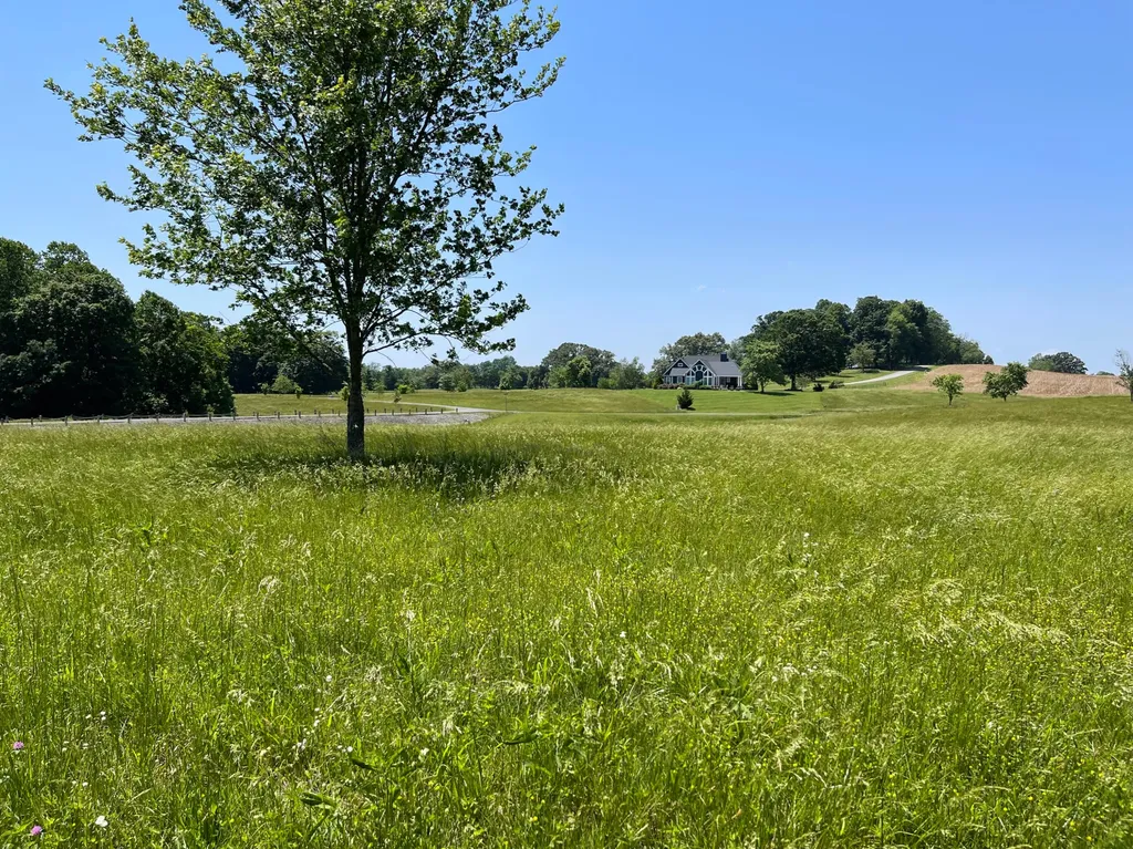 77 Meadows Loop Russell Springs KY 42642