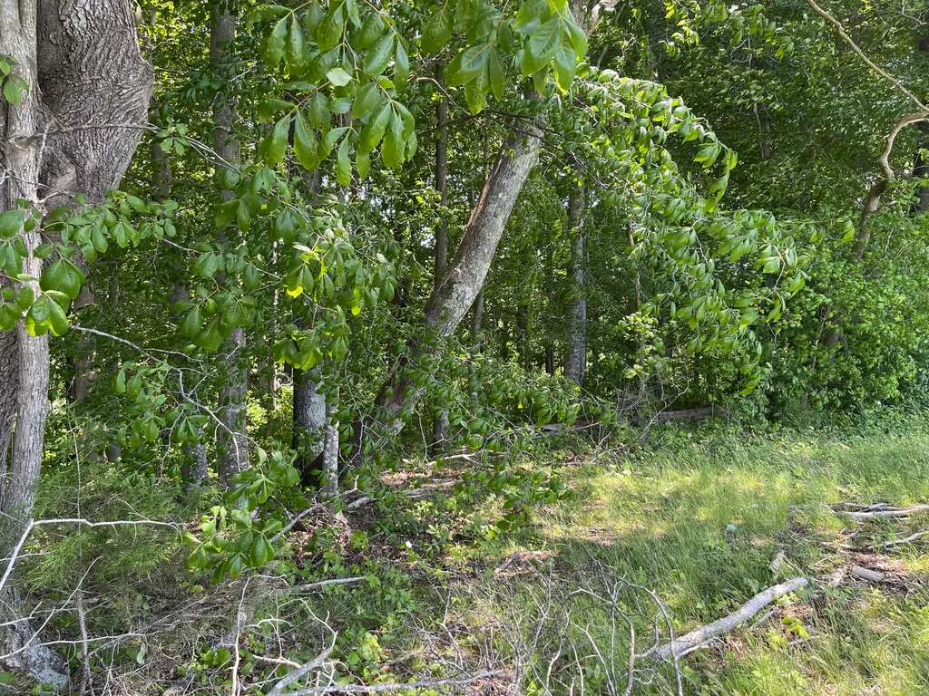 77 Meadows Loop Russell Springs KY 42642