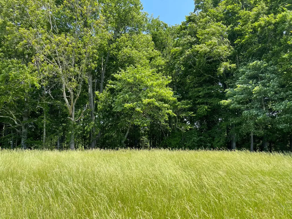 77 Meadows Loop Russell Springs KY 42642