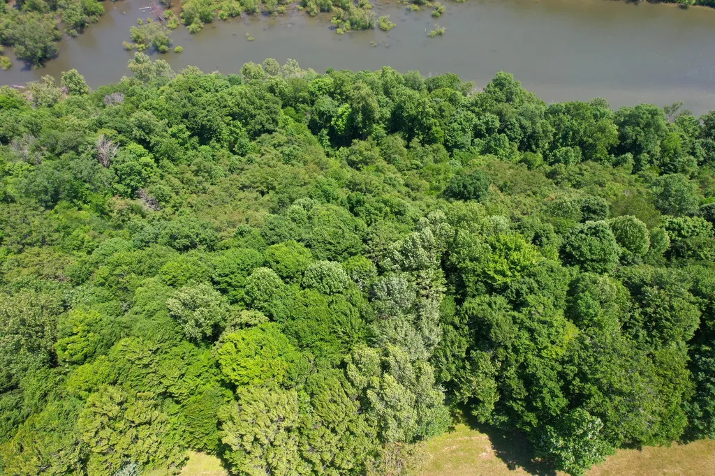 77 Meadows Loop Russell Springs KY 42642