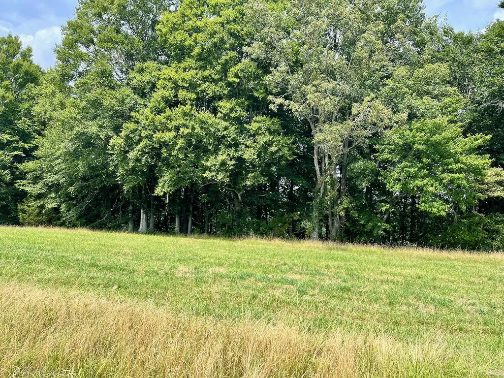 77 Meadows Loop Russell Springs KY 42642