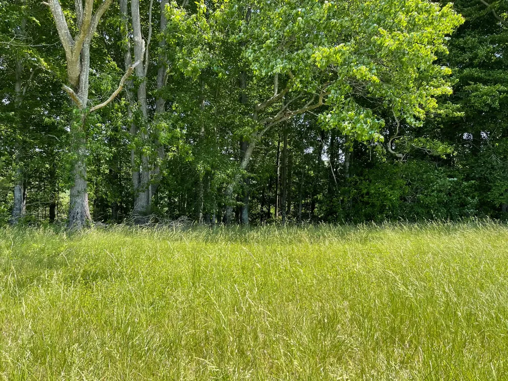 77 Meadows Loop Russell Springs KY 42642