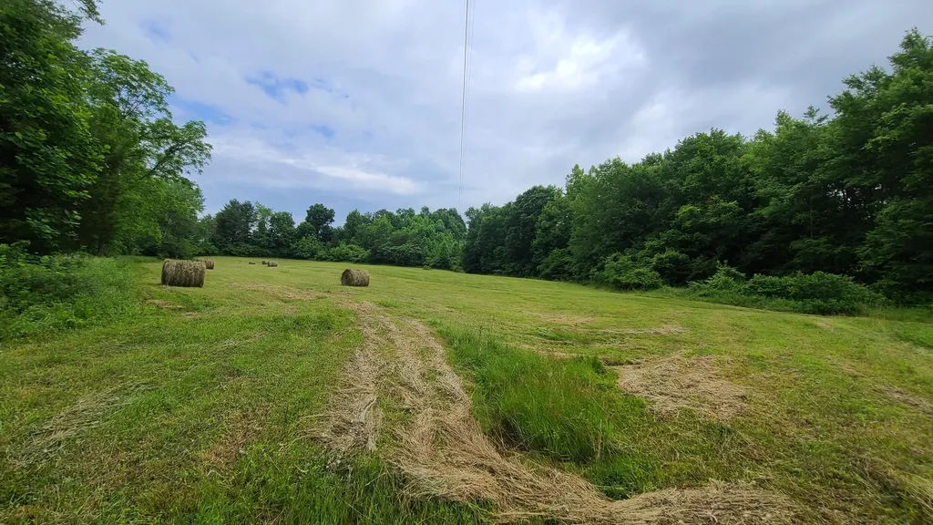 395 Lloyd Wilson Road Williamsburg KY 40769