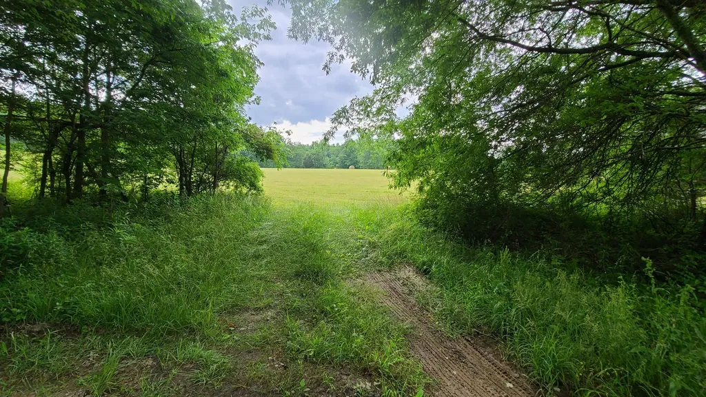 395 Lloyd Wilson Road Williamsburg KY 40769