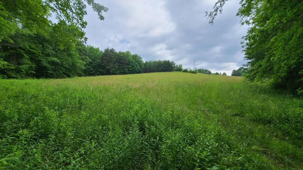 395 Lloyd Wilson Road Williamsburg KY 40769