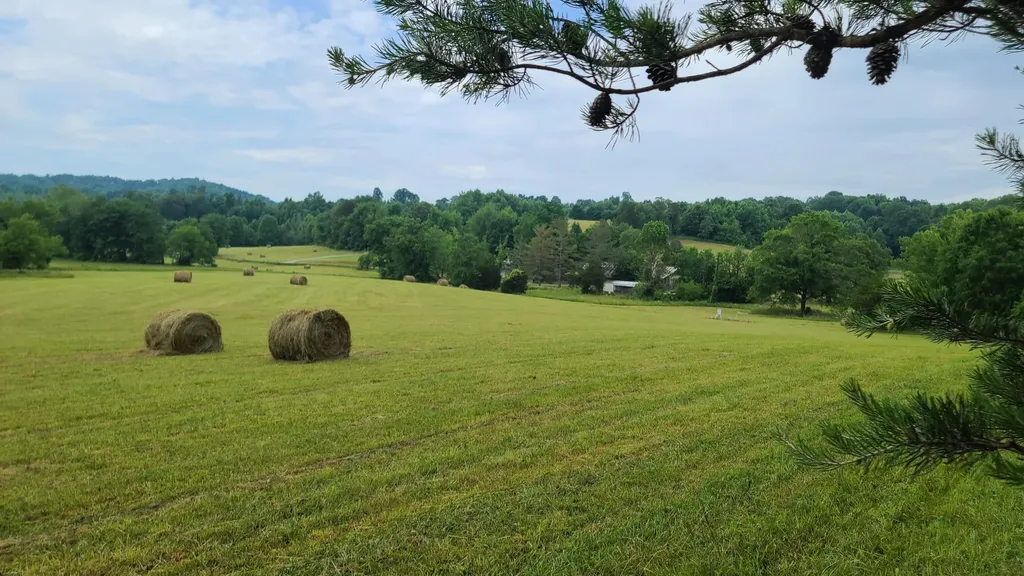 395 Lloyd Wilson Road Williamsburg KY 40769