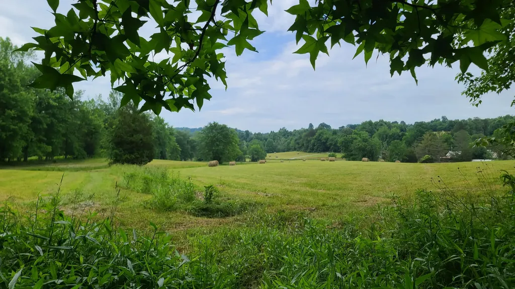 395 Lloyd Wilson Road Williamsburg KY 40769