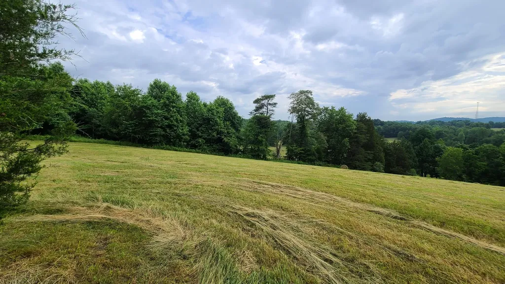 395 Lloyd Wilson Road Williamsburg KY 40769