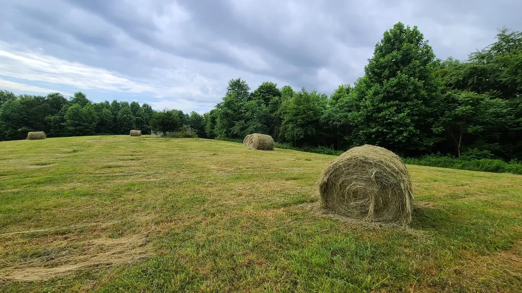395 Lloyd Wilson Road Williamsburg KY 40769