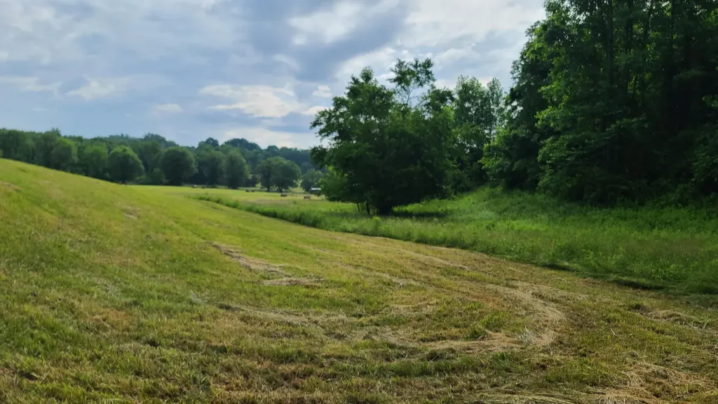 395 Lloyd Wilson Road Williamsburg KY 40769