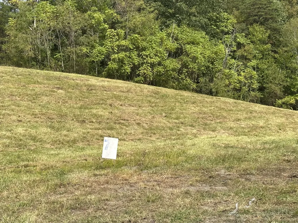487 Lot 77 Bull Run East Bernstadt KY 40729