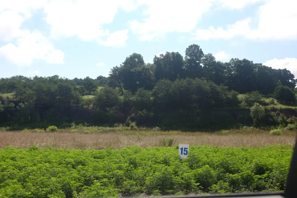 74 Bull Run East Bernstadt KY 40729