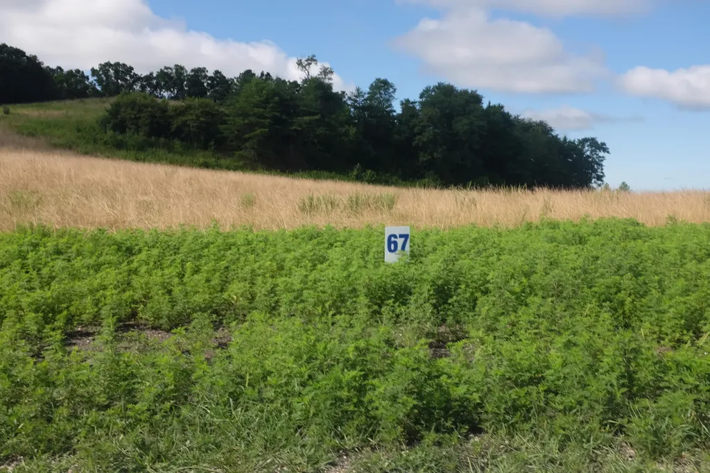 74 Bull Run East Bernstadt KY 40729