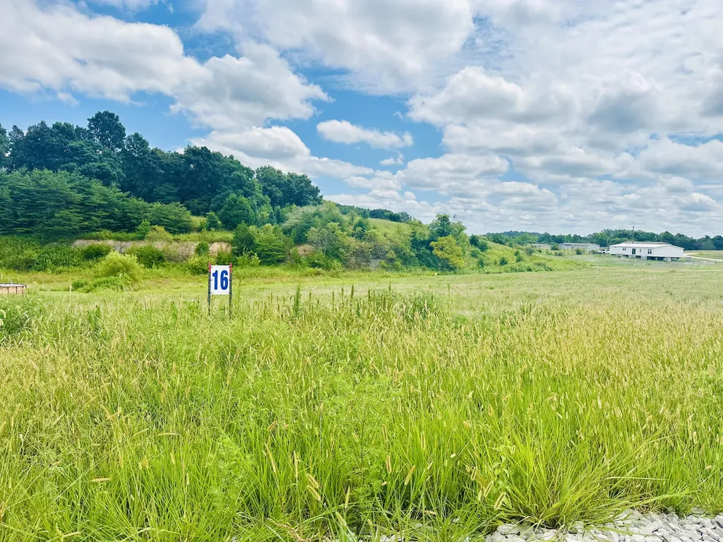 39 Turkey Loop East Bernstadt KY 40729