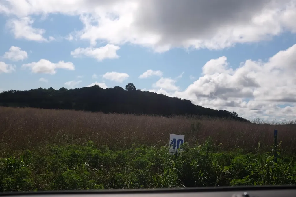 43 Turkey Loop East Bernstadt KY 40729