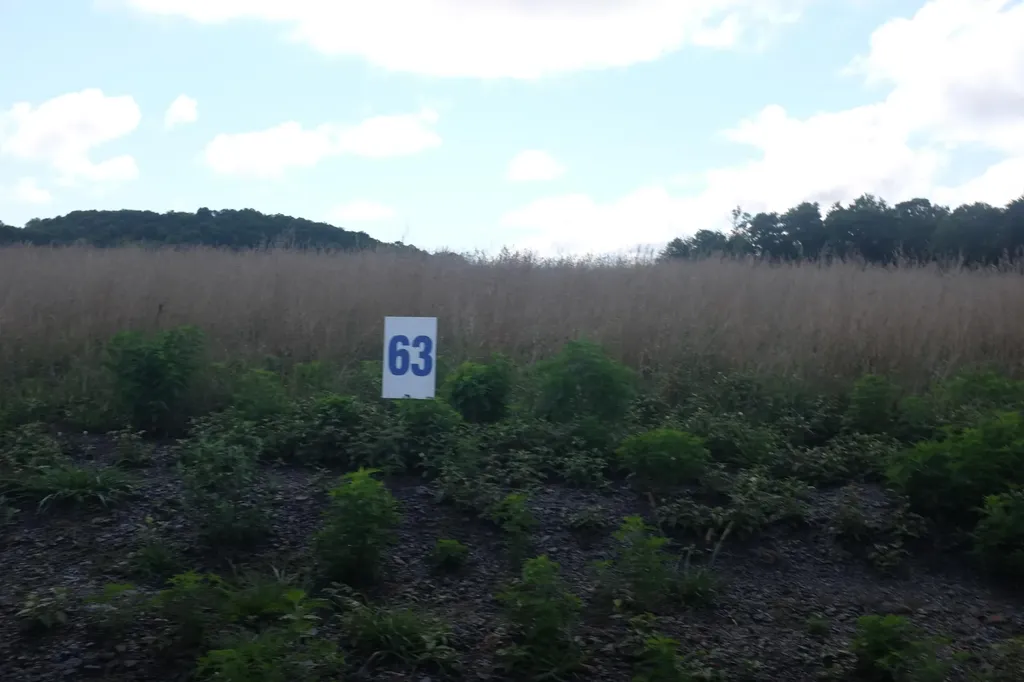 43 Turkey Loop East Bernstadt KY 40729