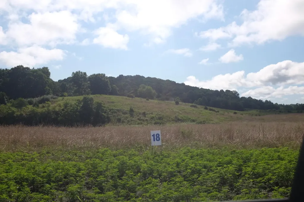 43 Turkey Loop East Bernstadt KY 40729