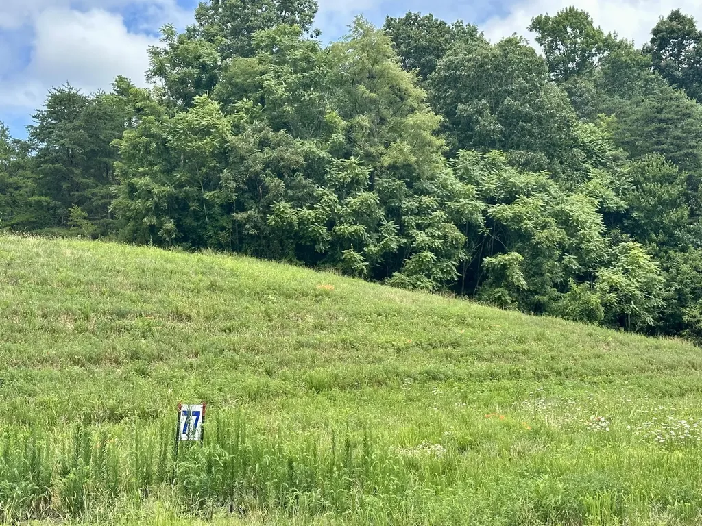 35 Turkey Loop East Bernstadt KY 40729