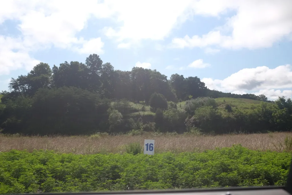 71 Bull Run East Bernstadt KY 40729