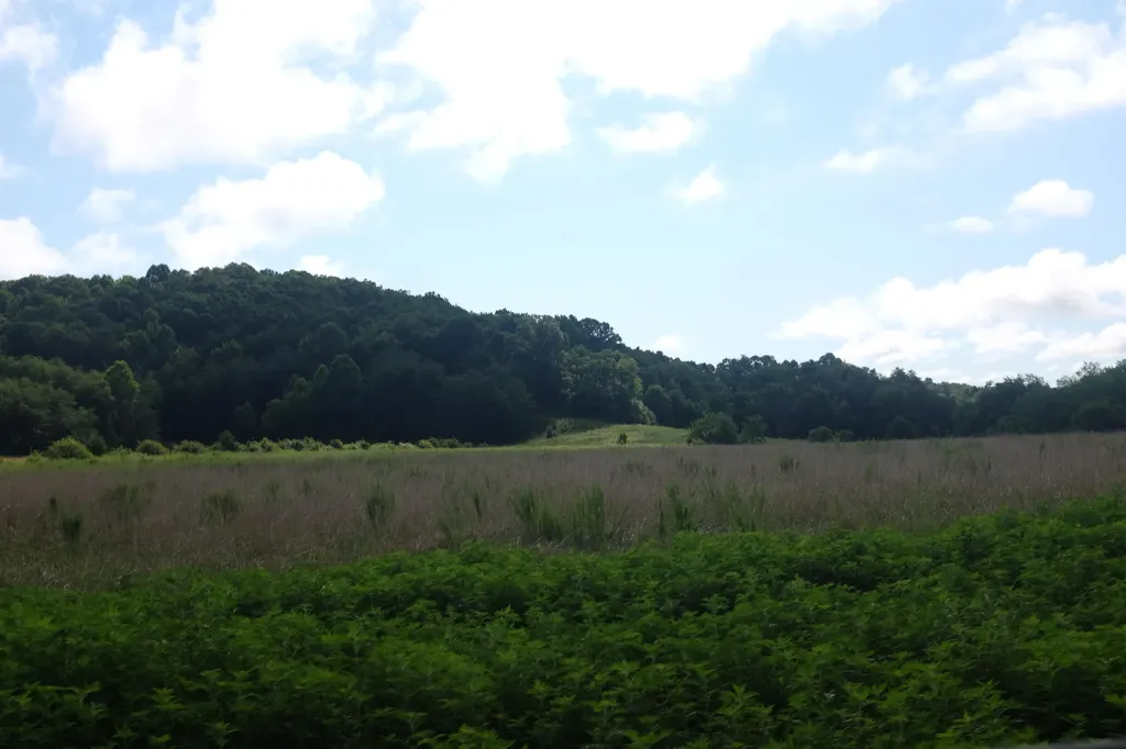 48 Bull Run East Bernstadt KY 40729