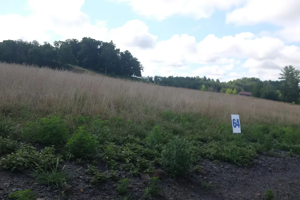 42 Wolf Bend East Bernstadt KY 40729