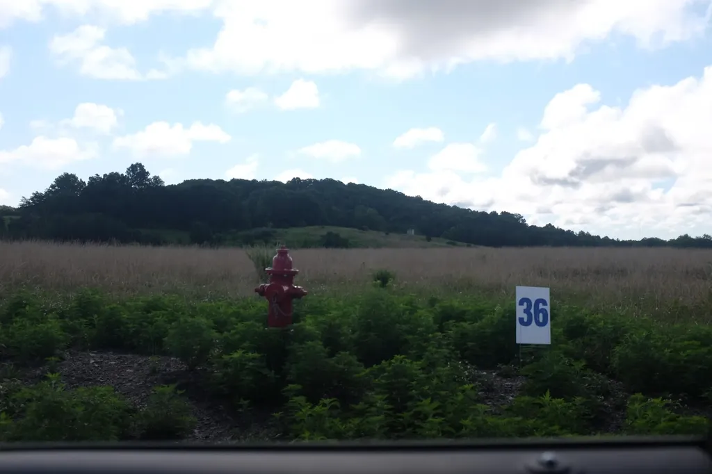 42 Wolf Bend East Bernstadt KY 40729