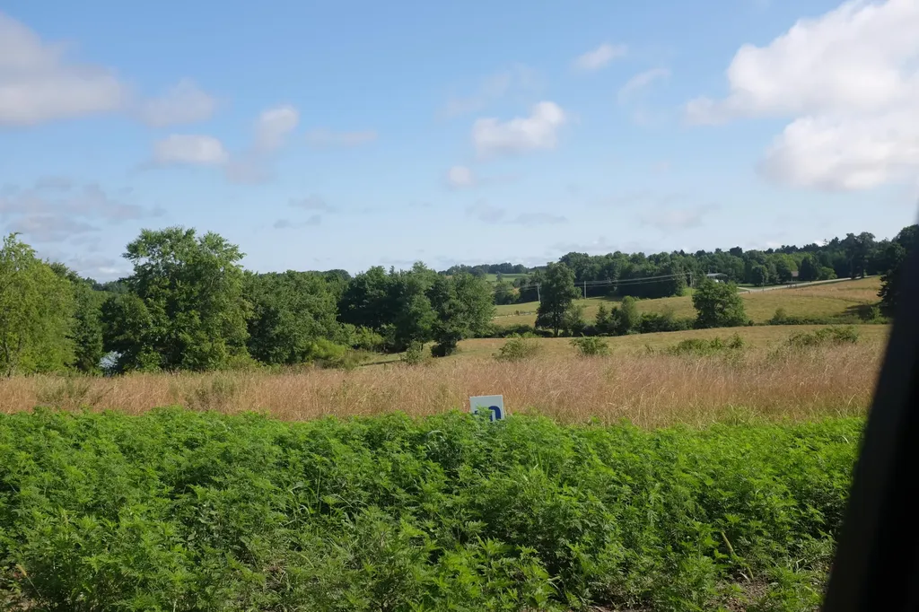 42 Wolf Bend East Bernstadt KY 40729