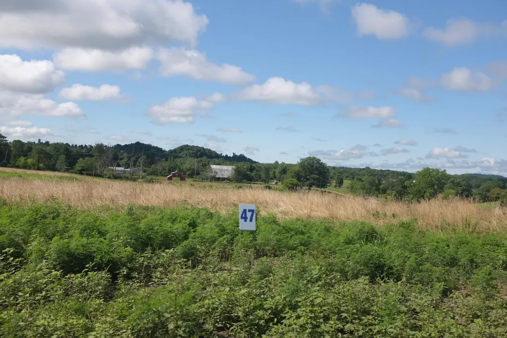 36 Wolf Bend East Bernstadt KY 40729