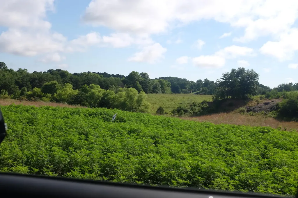 54 Dove Lane East Bernstadt KY 40729