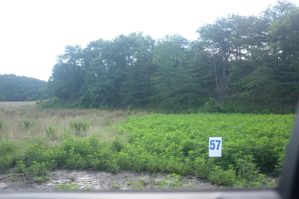 73 Bull Run East Bernstadt KY 40729