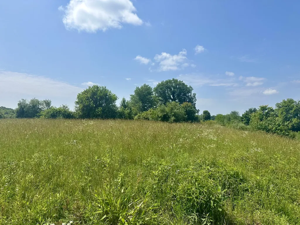 52 Farris Jones Road East Bernstadt KY 40729