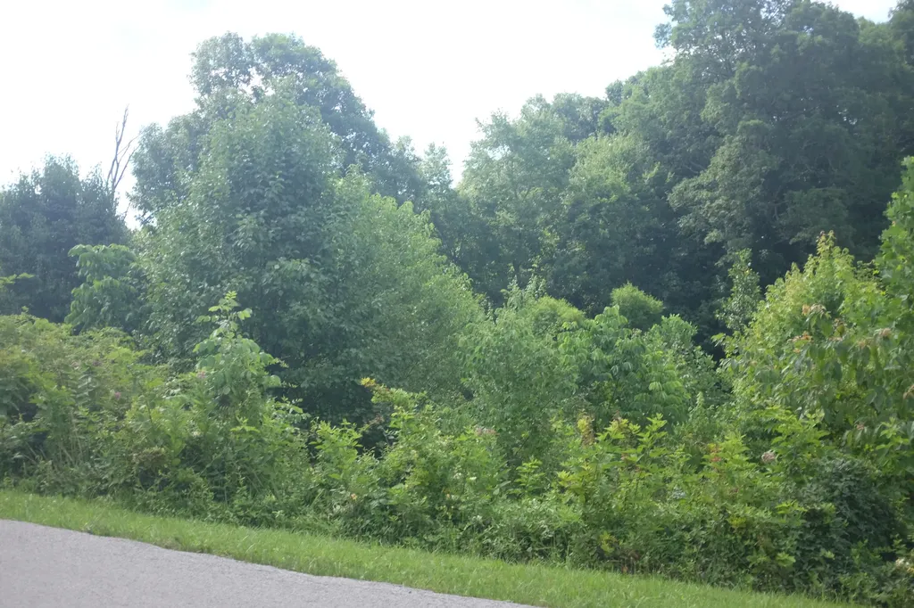 Lot 3 Golden Pond Drive London KY 40741