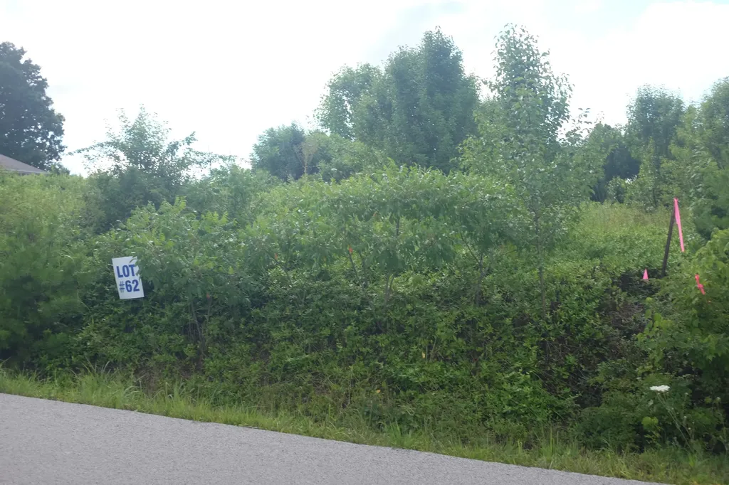 Lot 3 Golden Pond Drive London KY 40741