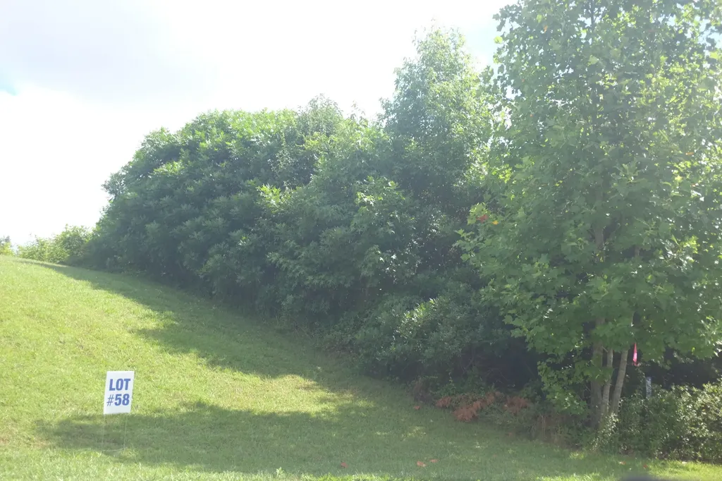 Lot 3 Golden Pond Drive London KY 40741