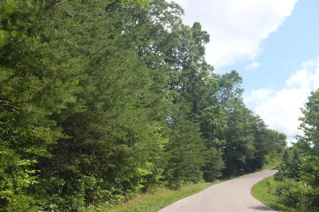 Lot 3 Golden Pond Drive London KY 40741