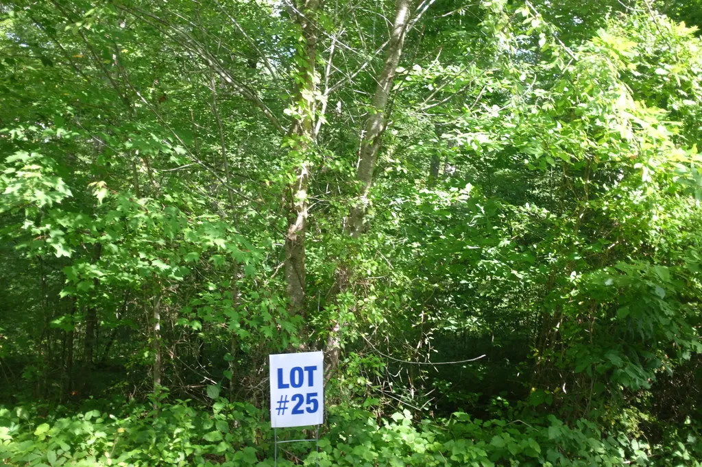 Lot 3 Golden Pond Drive London KY 40741