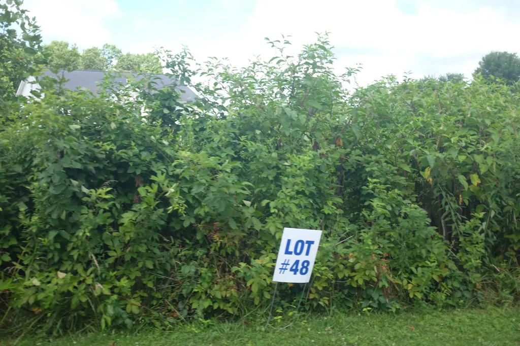 Lot 3 Golden Pond Drive London KY 40741