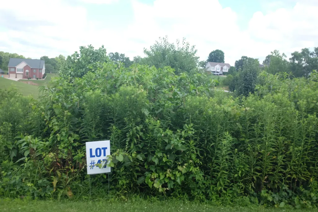 Lot 3 Golden Pond Drive London KY 40741