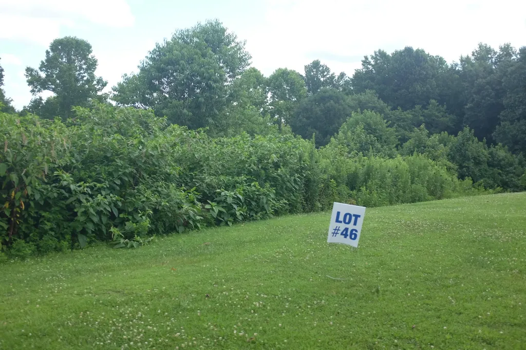 Lot 3 Golden Pond Drive London KY 40741