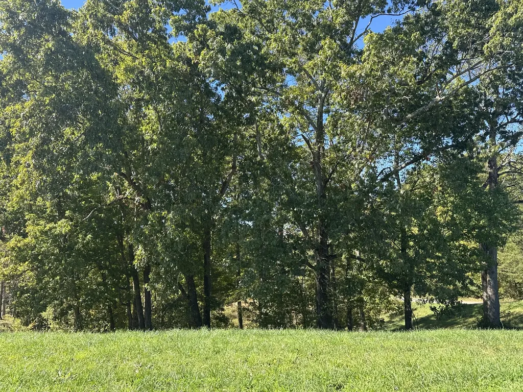 23 Deep Wood Drive London KY 40741