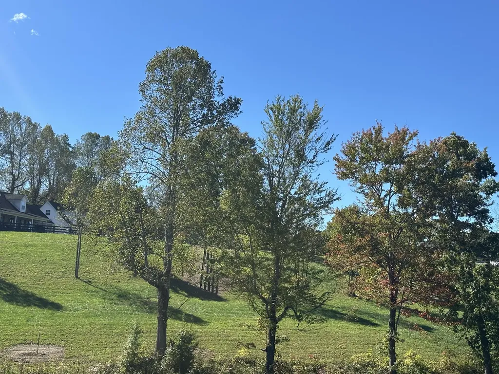 47 Ridgeline Drive London KY 40741