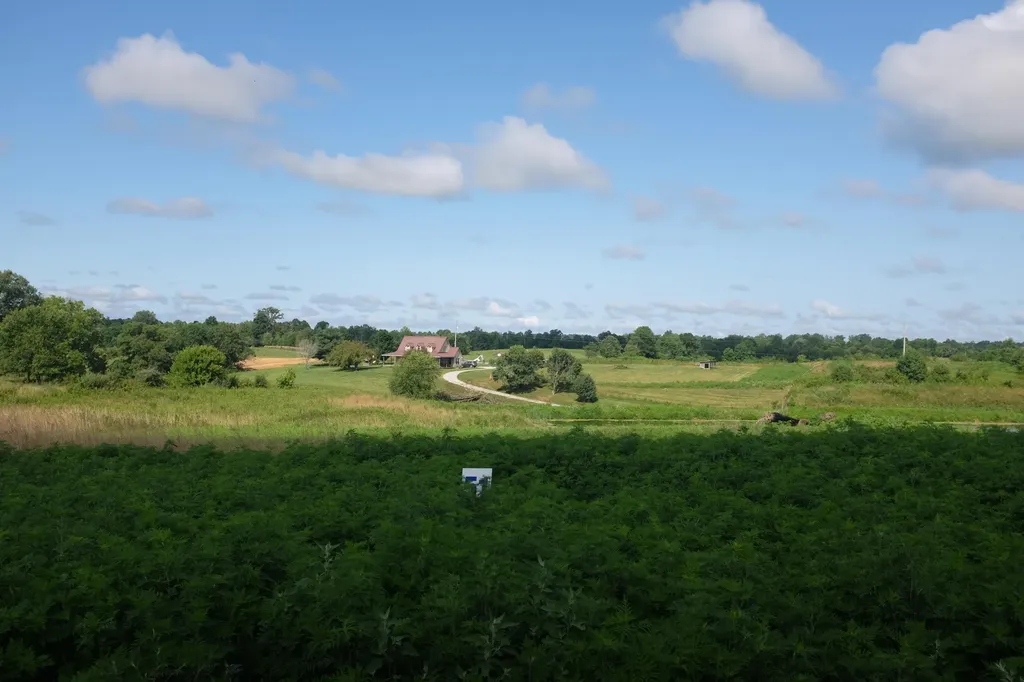 16 Turkey Loop East Bernstadt KY 40729