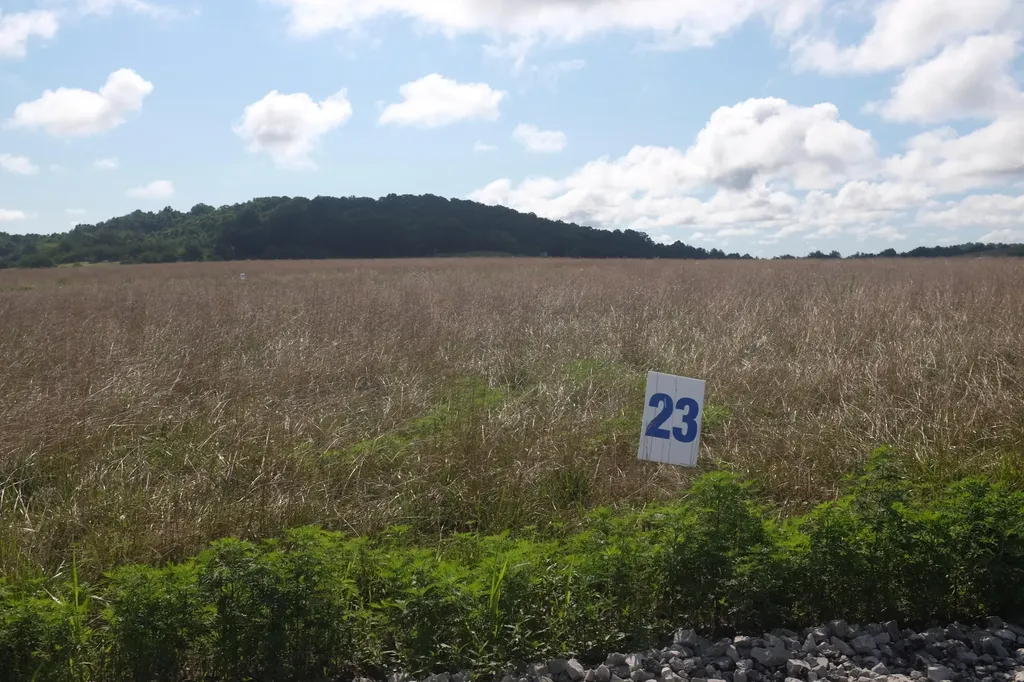 16 Turkey Loop East Bernstadt KY 40729